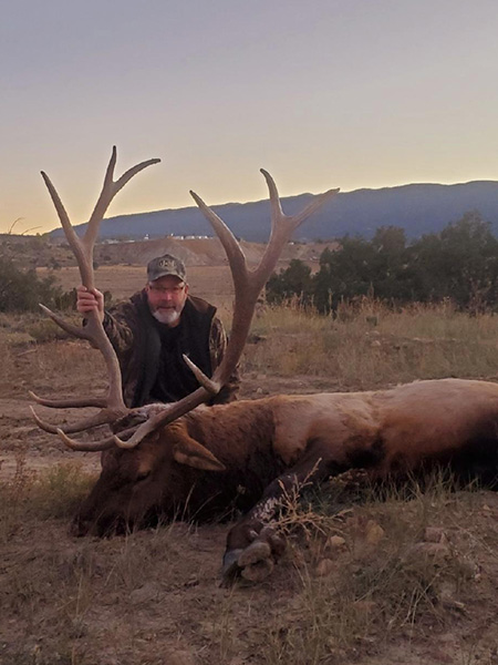 New Mexico Bull Elk