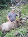 New Mexico Bull Elk