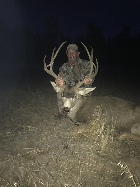 New Mexico Mule Deer