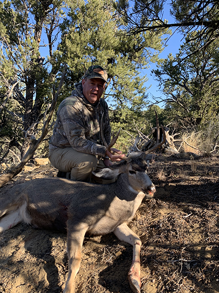 New Mexico Mule Deer