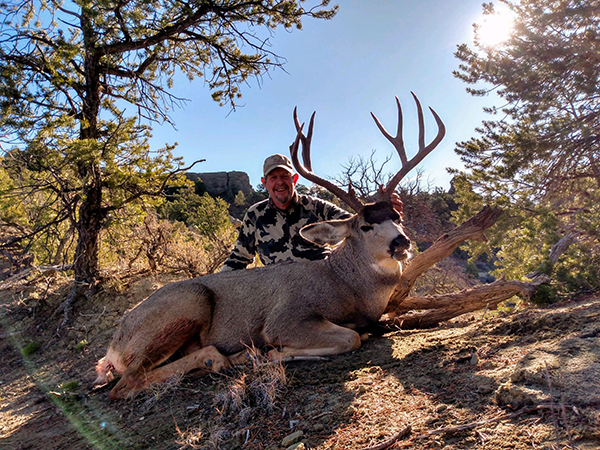 New Mexico Mule Deer