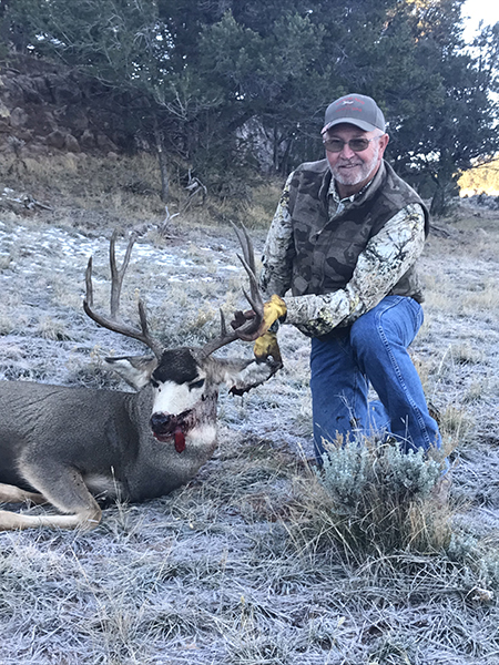 New Mexico Mule Deer