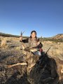 New Mexico Mule Deer