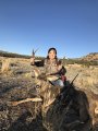 New Mexico Mule Deer