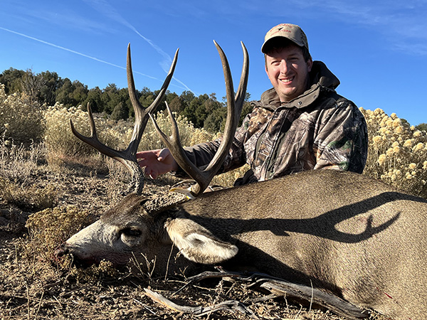 New Mexico Mule Deer