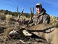 New Mexico Bull Elk