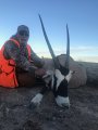 New Mexico Oryx Hunts