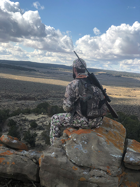 New Mexico Mule Deer